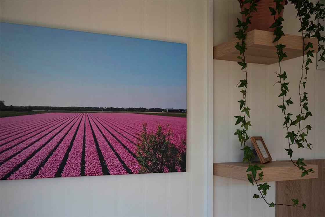 Bloem & Bed Bed and Breakfast 't Zand Buitenkant foto