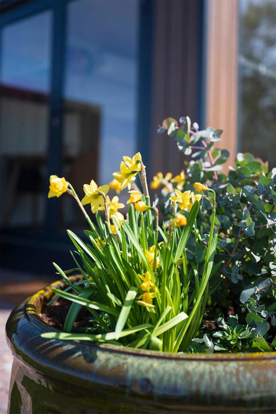 Bloem & Bed Bed and Breakfast 't Zand Buitenkant foto