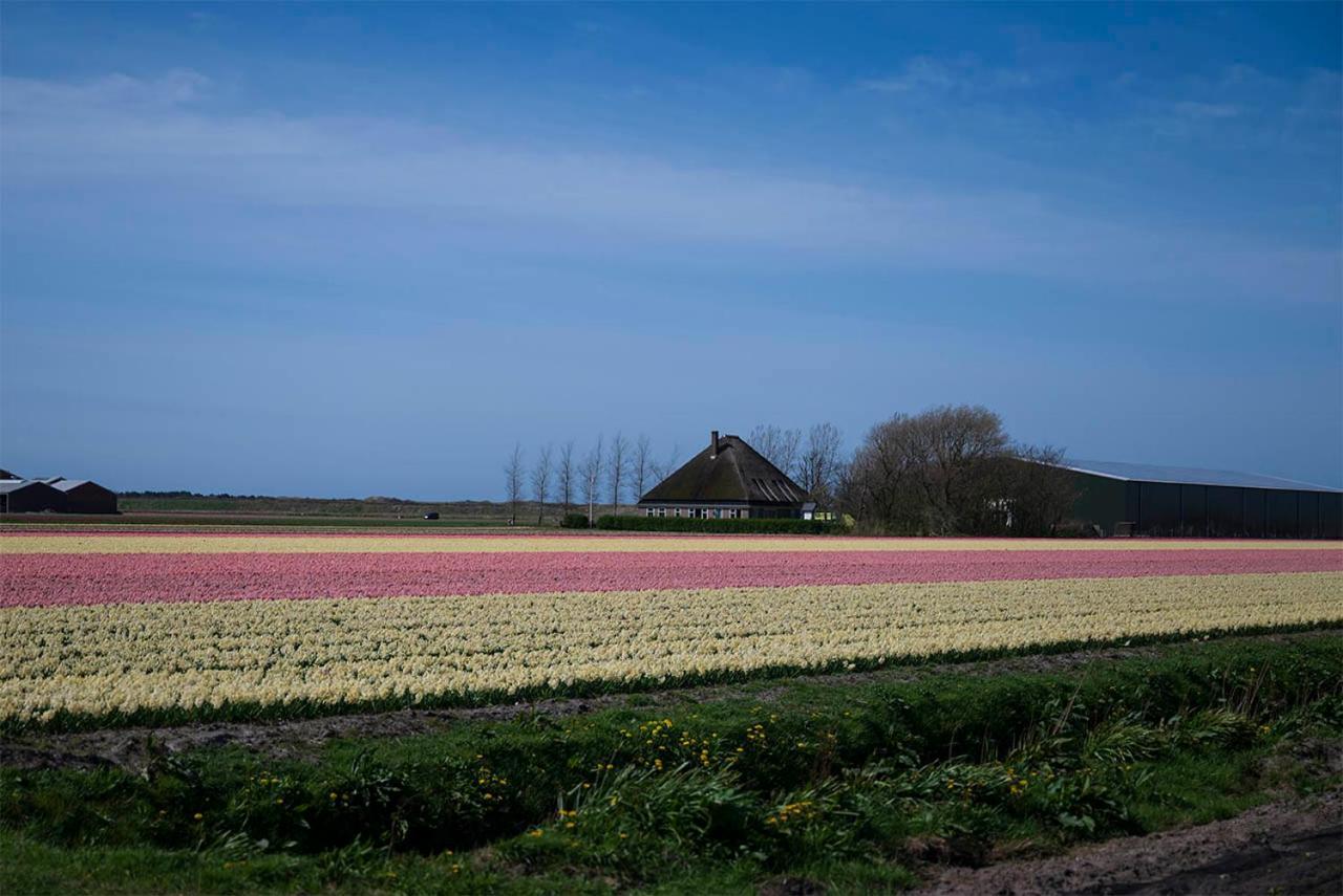 Bloem & Bed Bed and Breakfast 't Zand Buitenkant foto