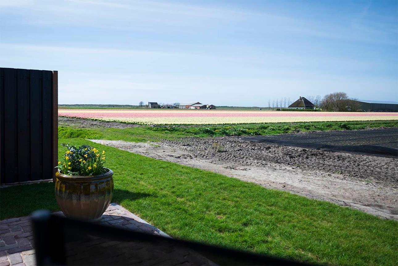Bloem & Bed Bed and Breakfast 't Zand Buitenkant foto