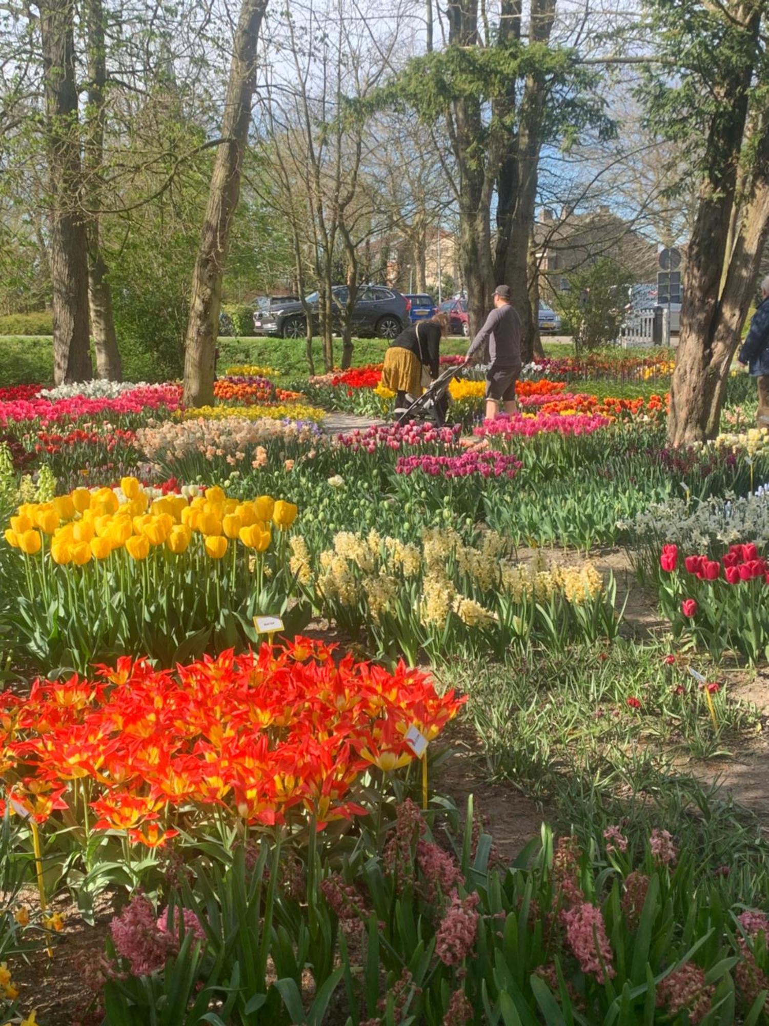 Bloem & Bed Bed and Breakfast 't Zand Buitenkant foto