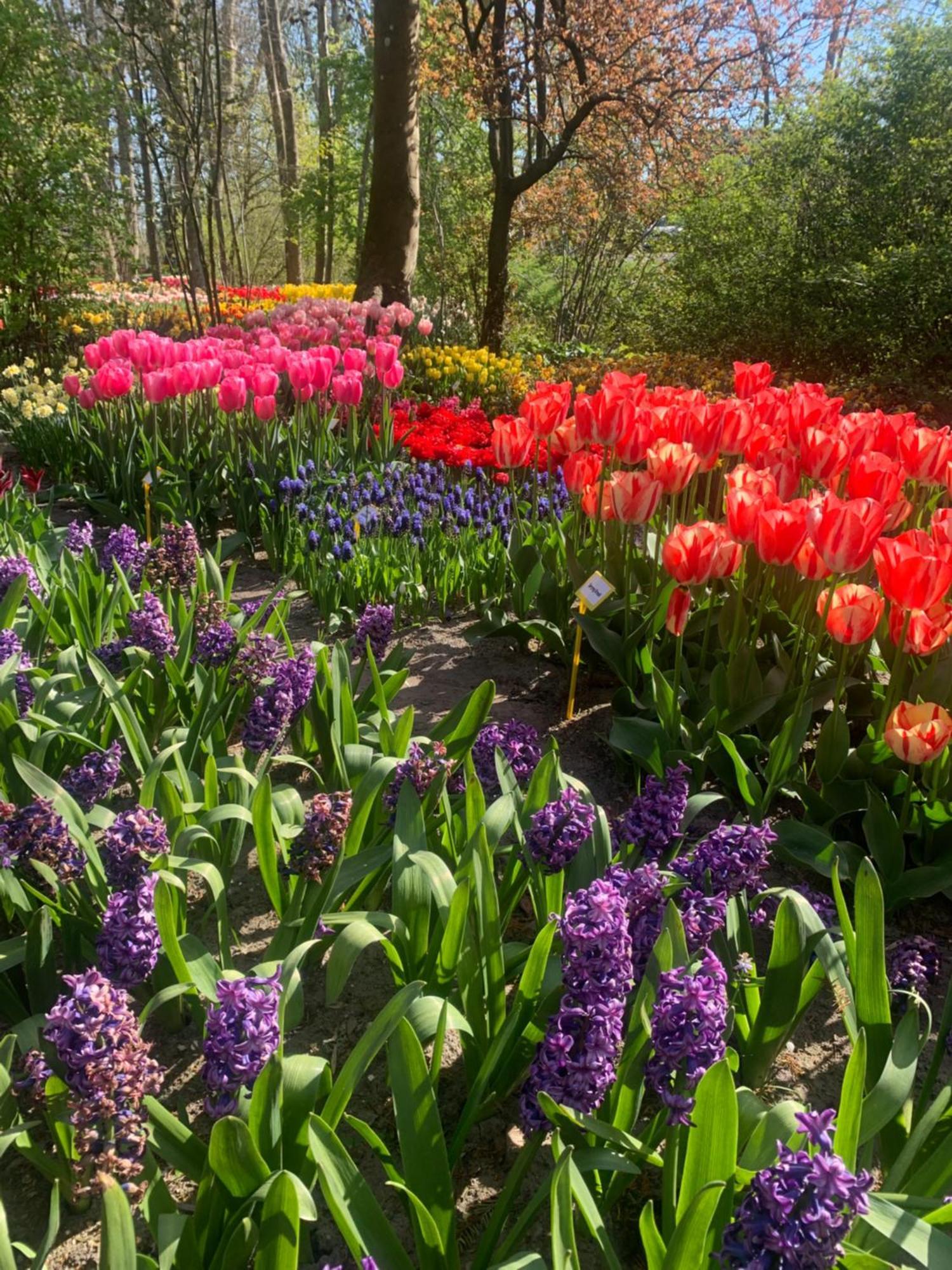 Bloem & Bed Bed and Breakfast 't Zand Buitenkant foto